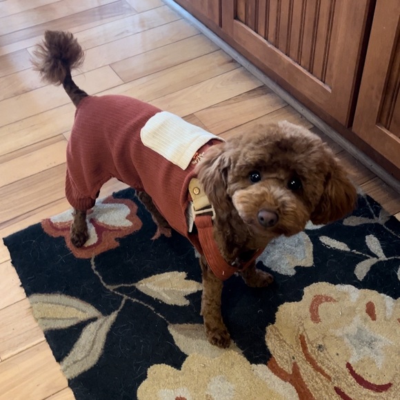 Meet your Posher, Gary - Picture 4 of 5